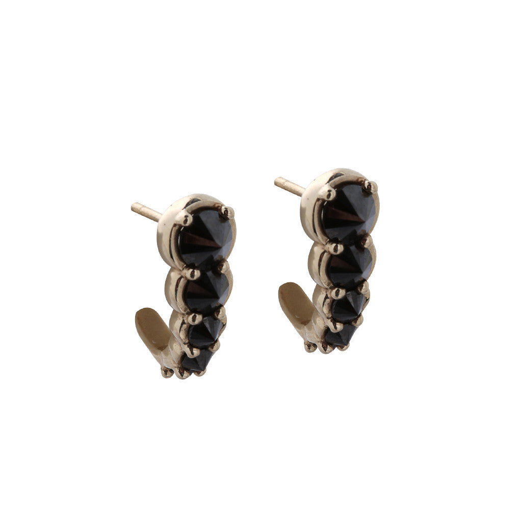 Black Diamond Hook Earrings